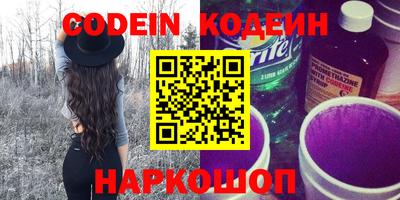 мдпв Кингисепп