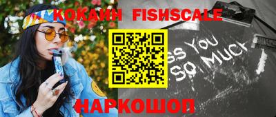 мдпв Кингисепп