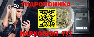 мдпв Кингисепп