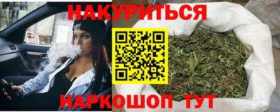 мдпв Кингисепп