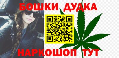мдпв Кингисепп