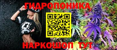 мдпв Кингисепп
