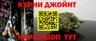мдпв Кингисепп