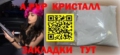 мдпв Кингисепп