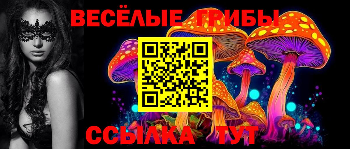 Псилоцибиновые грибы MAGIC MUSHROOMS  Вход с VPN  Псилоцибиновые грибы MAGIC MUSHROOMS  Алапаевск 